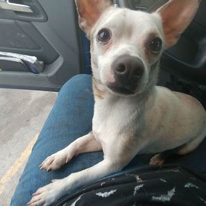 Meet your Posher, Ruth